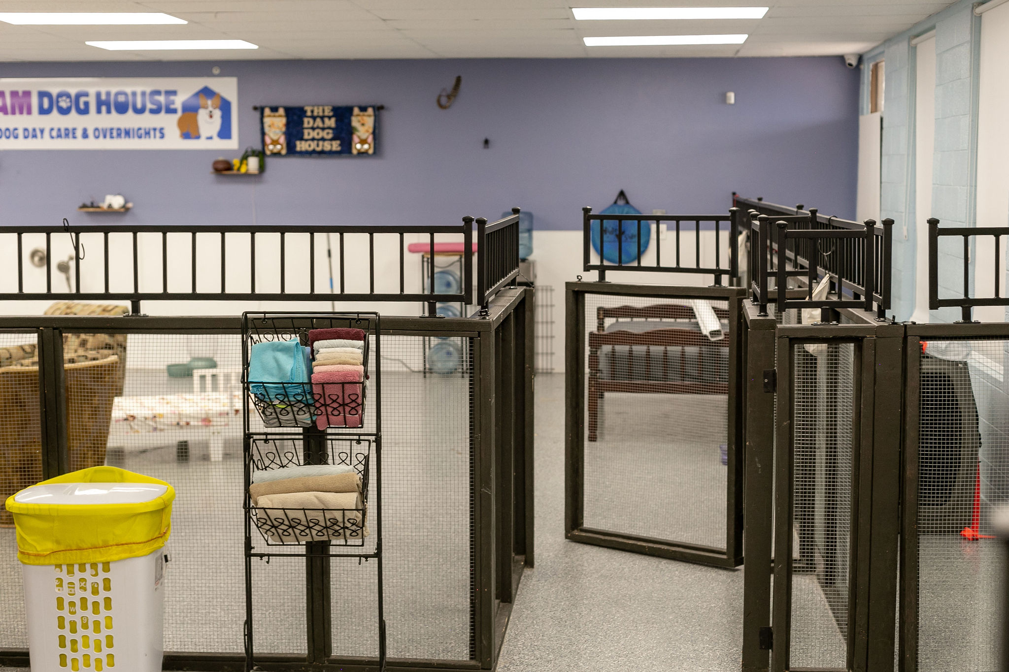 Dog daycare in Boulder City, Las Vegas | Dam Dog House